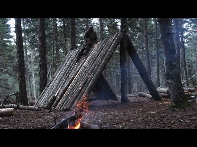 Building Alone A frame Cabin from start to finish. Off Grid living in the Wilderness.Survivor skills - YouTube