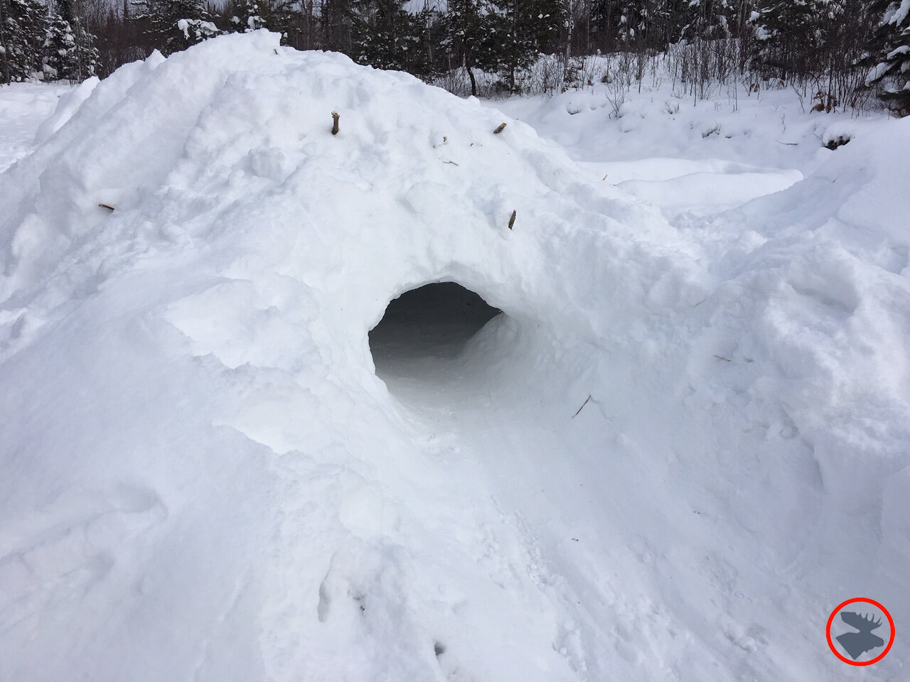 How to Build a Quinzhee — Bull Moose Patrol