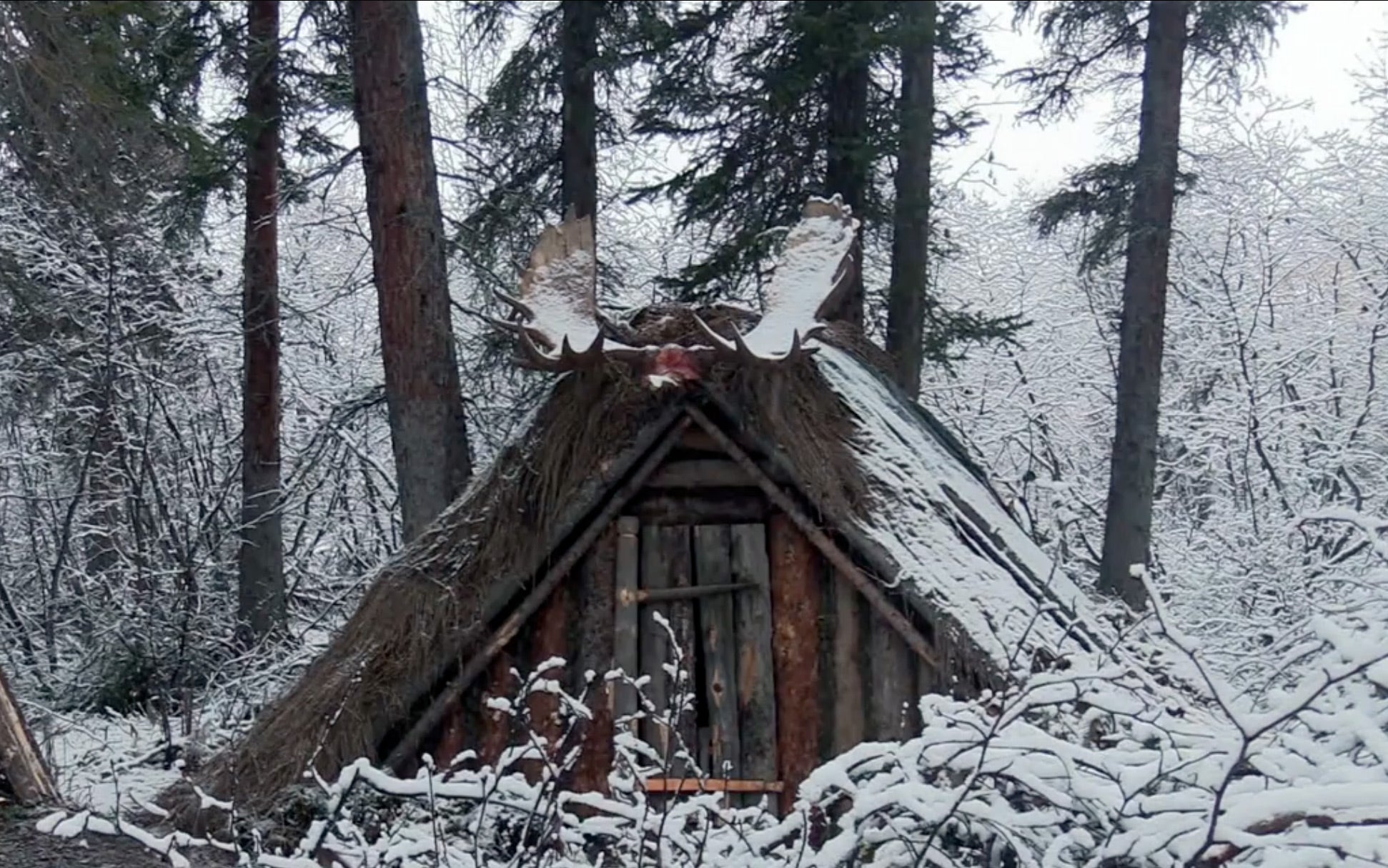 Survival shelter