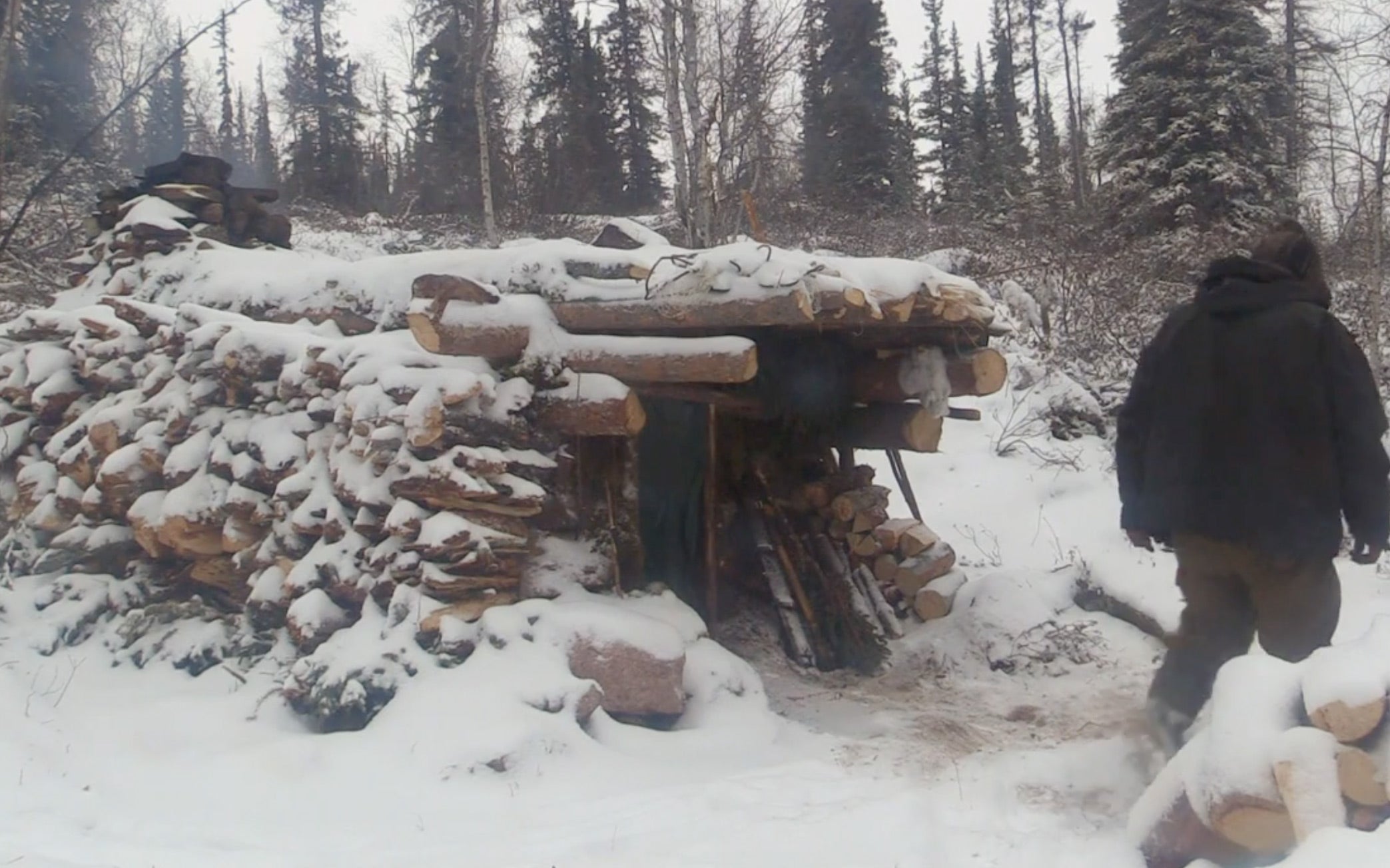 Survival shelter