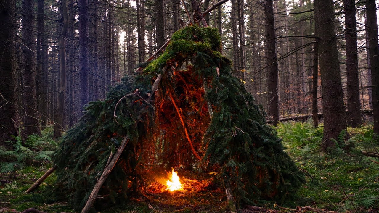 I build a Wikiup shelter in the forest : r/Survival