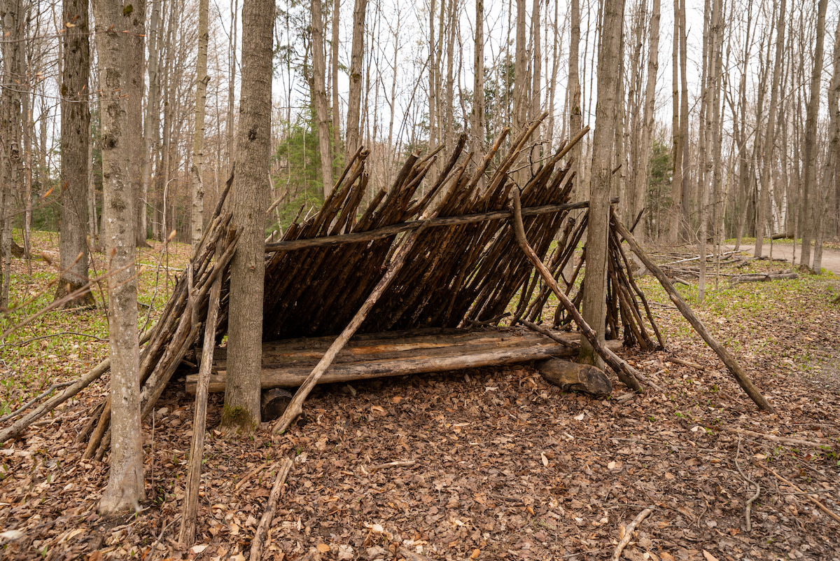 Lean-to Shelters: How to Build a Lean-to Shelter in the Wild - 2026 - MasterClass