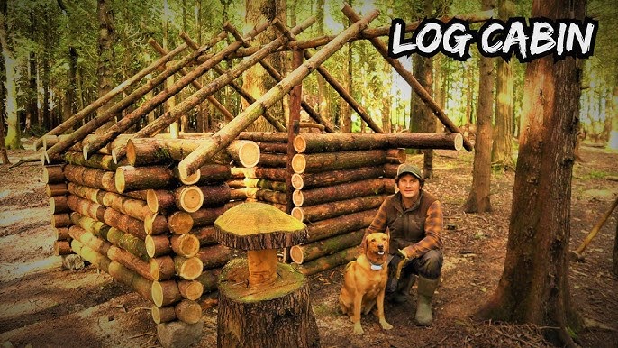 Building an Off Grid Log Cabin in a Woodland - Bushcraft Survival Project Wilderness Shelter ep2.