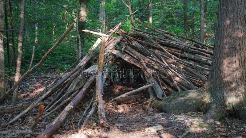 Primitive Spring a Frame Survival Shelter in the Blue Ridge Mountains Near Asheville, North Carolina. Bushcraft Camp Setup in the Stock Image - Image of construction, cold: 190279471