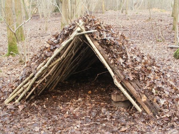 Wickiup - PZ Suggestions - The Indie Stone Forums