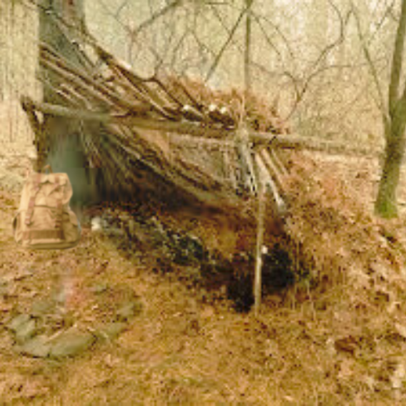A Beginner's Guide of the Pros and Cons of Different Wilderness Shelters for the Mountains