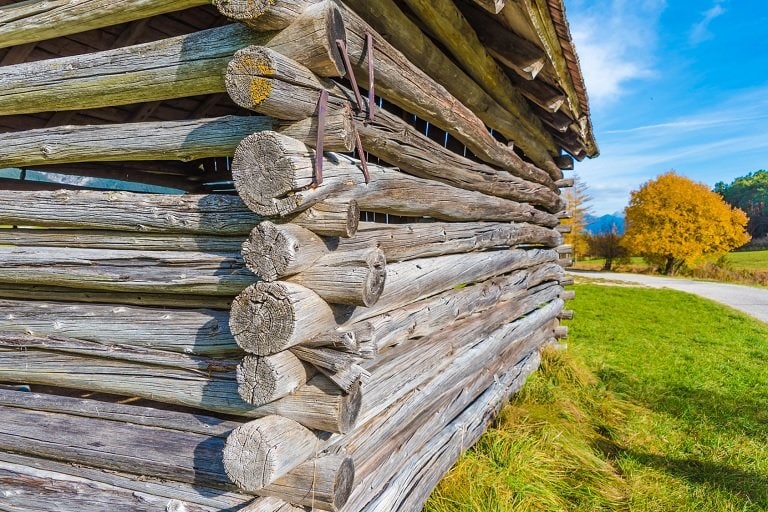 How to Build a Survival Shelter: A Bug Out Cabin in The Woods - Log Cabin Hub